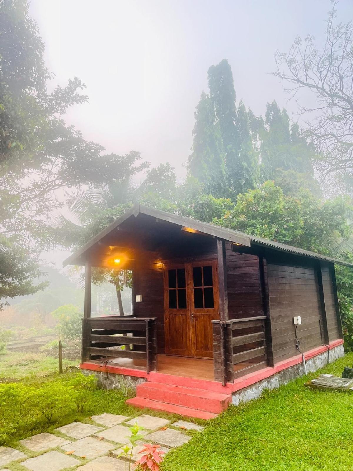 Cocorico Stay Ya! Cottages آليباغ المظهر الخارجي الصورة